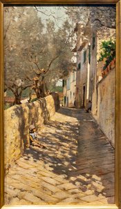 Allée vers la Capponcina