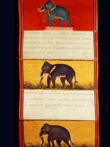 Folio d