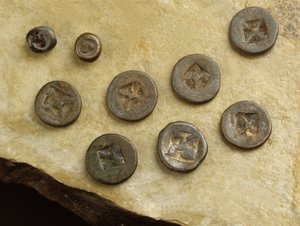 Monnaie avec marques de fleurs et de namo du royaume de Srivijaya - Thai School