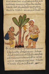 Satra. Sur la divination et les conseils pour une vie heureuse et saine (livre pliant en papier)