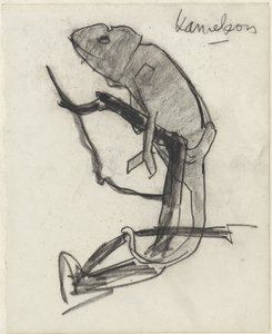 Caméléon - Theo Nieuwenhuis