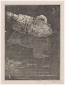 Canard flottant - Theo van Hoytema (signed by artist)
