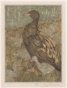 Canard avec canetons au bord de l