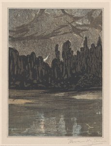 Paysage nocturne avec oiseaux migrateurs - Theo van Hoytema (signed by artist)