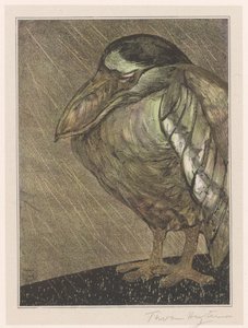 Héron bihoreau sous la pluie - Theo van Hoytema (signed by artist)