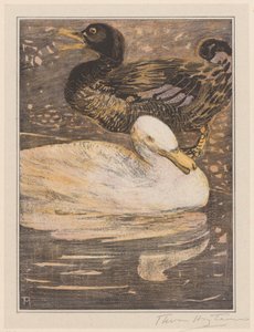 Deux canards - Theo van Hoytema (signed by artist)