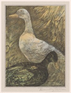 Deux canards debout - Theo van Hoytema (signed by artist)