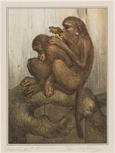 Singes se cherchant des puces
