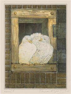 Pigeons blancs à la fenêtre - Theo van Hoytema (signed by artist)