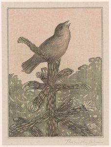 Oiseau chantant sur un conifère - Theo van Hoytema (signed by artist)
