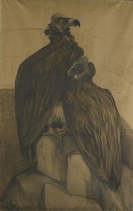 Deux vautours arabes - Theo van Hoytema