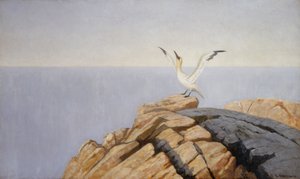 Sole de mer - Theodor Kittelsen