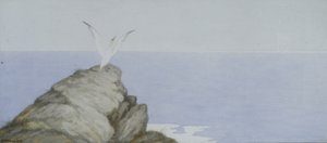 Oiseau de Mer