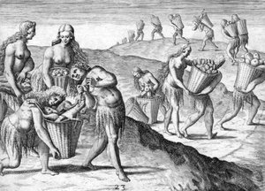 Tribu des Indiens Timucua - Theodor de Bry