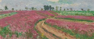 Champ de sainfoin près de Znaim II