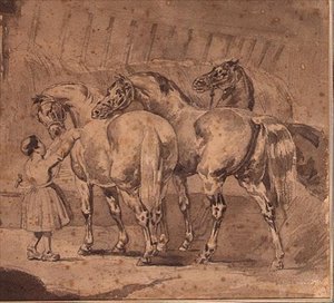Petite fille nourrissant des chevaux dans une écurie
