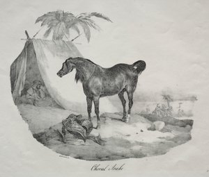 Cheval arabe - Theodore Gericault