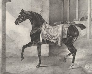 Cheval noir attaché dans une écurie, 1822 - Theodore Gericault
