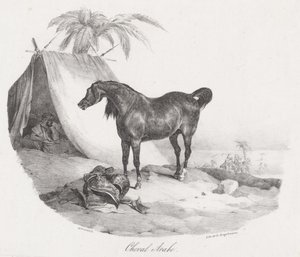 Cheval Arabe (An Arabian Horse) - Theodore Gericault