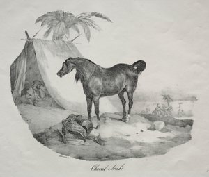 Cheval arabe - Theodore Gericault
