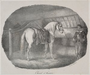 Cheval de Hanovre - Theodore Gericault