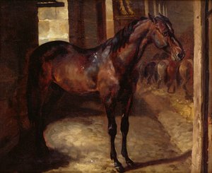 Cheval bai foncé dans l