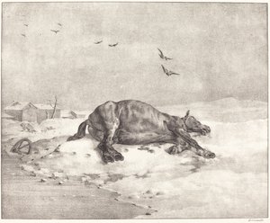 Cheval mort