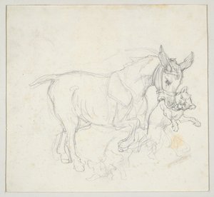 Âne tenant un chien dans sa gueule (recto) ; Étude de cerfs pourchassés par des chiens, tête de biche (verso) - Theodore Gericault