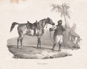 Jument Égyptienne, 1822 - Theodore Gericault