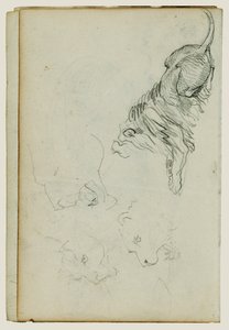 Quatre études sur les lions - Theodore Gericault