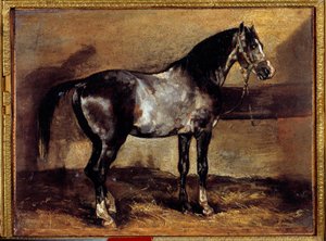 Cheval gris au râtelier - Theodore Gericault