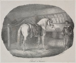 Cheval hanovrien - Theodore Gericault