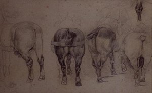 Chevaux attelés - Theodore Gericault