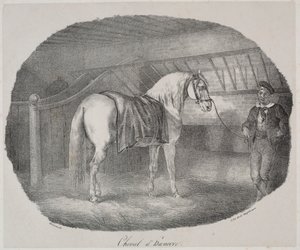 Cheval de Hanovre - Theodore Gericault