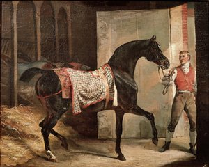 Cheval quittant l