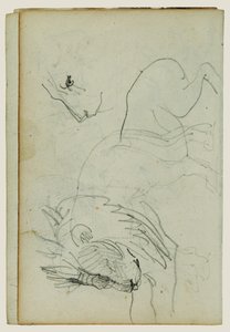 Études sur les lions - Theodore Gericault
