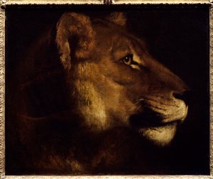 Tête de lionne