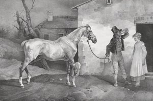 Vieux cheval à la porte d