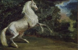 Cheval Cabriolant - Theodore Gericault