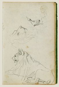 Lion assis, deux études de têtes de lion