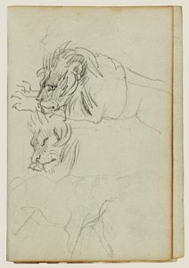 Trois études sur les lions - Theodore Gericault