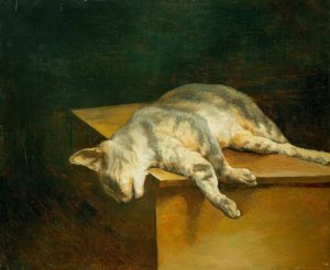 Chat mort