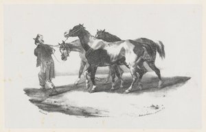 Trois chevaux conduits à l