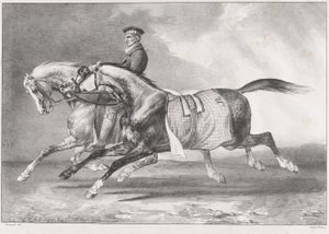  - Theodore Gericault