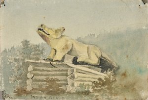 Tombe indienne. Totem de loup sur la tombe du guérisseur, Wrangell, vers 1880-1914 - Theodore J. Richardson