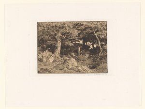 Chênes sur des rochers - Theodore Rousseau