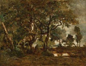 Forêt de Fontainebleau, groupe de grands arbres surplombant la plaine de Clair-Bois à la limite du Bas-Bréau