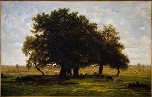 Groupe de Chênes, Apremont