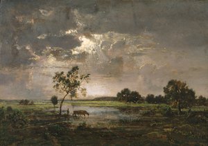 Paysage