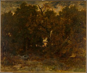 Sortie de la forêt, Fontainebleau : coucher de soleil